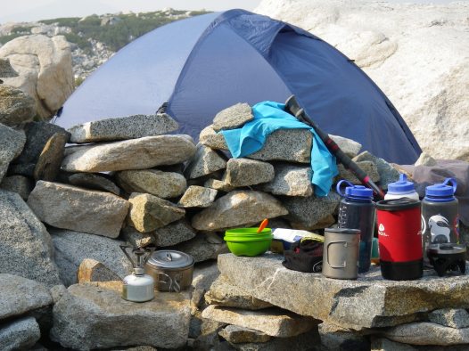 Our pika friend in camp. He was very entertaining!