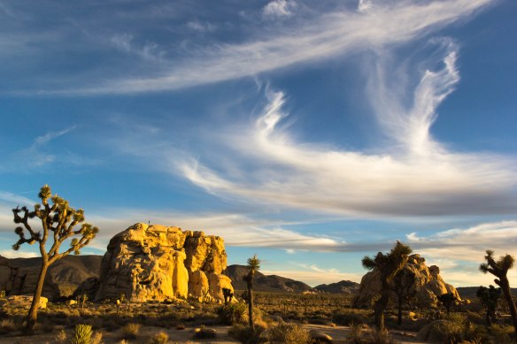 The view south from Hidden Valley Campground. Joshua Tree National Park. Photo Credit: Terrell Barry