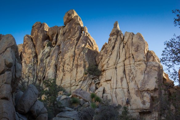 Hemingway Wall - East Face Right Side. Joshua Tree National Park. Photo Credit: Terrell Barry